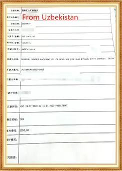 05.jpg